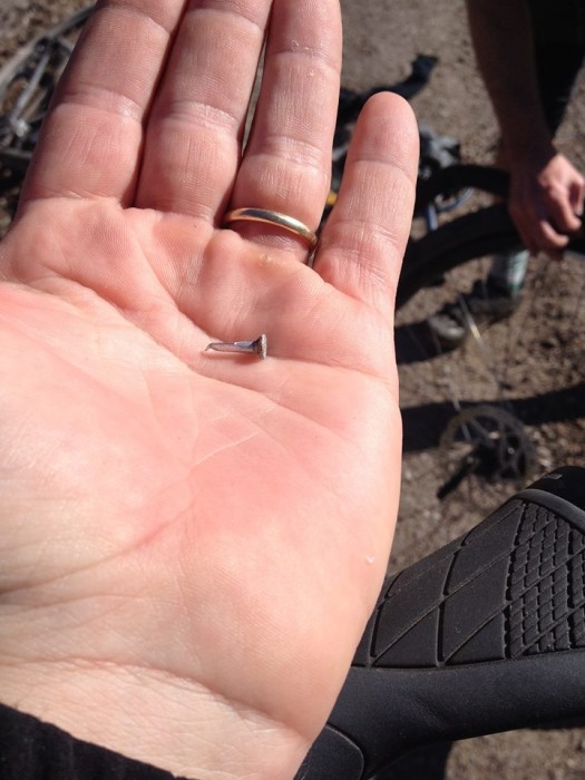 This nail caused a flat for a rider on the Finger Rock Wash trail. 