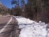 Snow on Mt. Lemmon Highway
